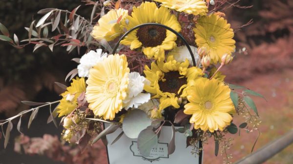 A-Bag-of-Sunflowers