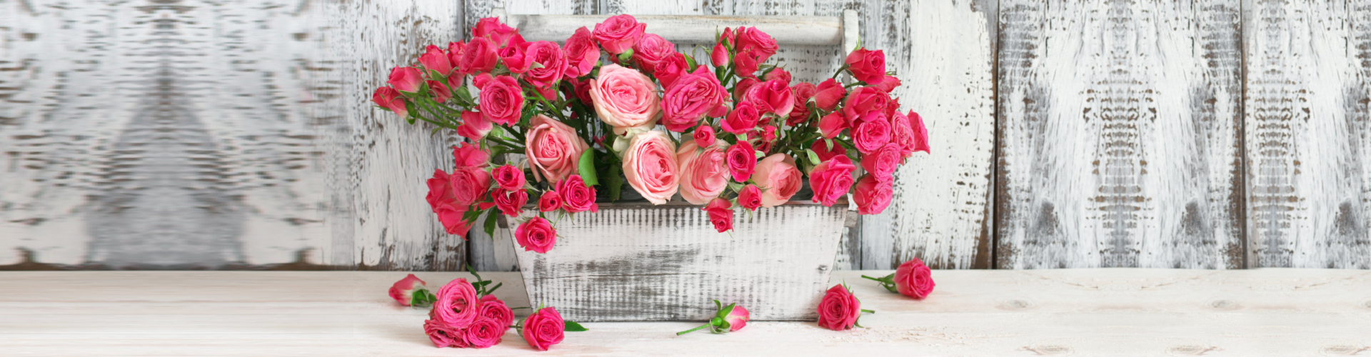 Bouquet of pink roses in box